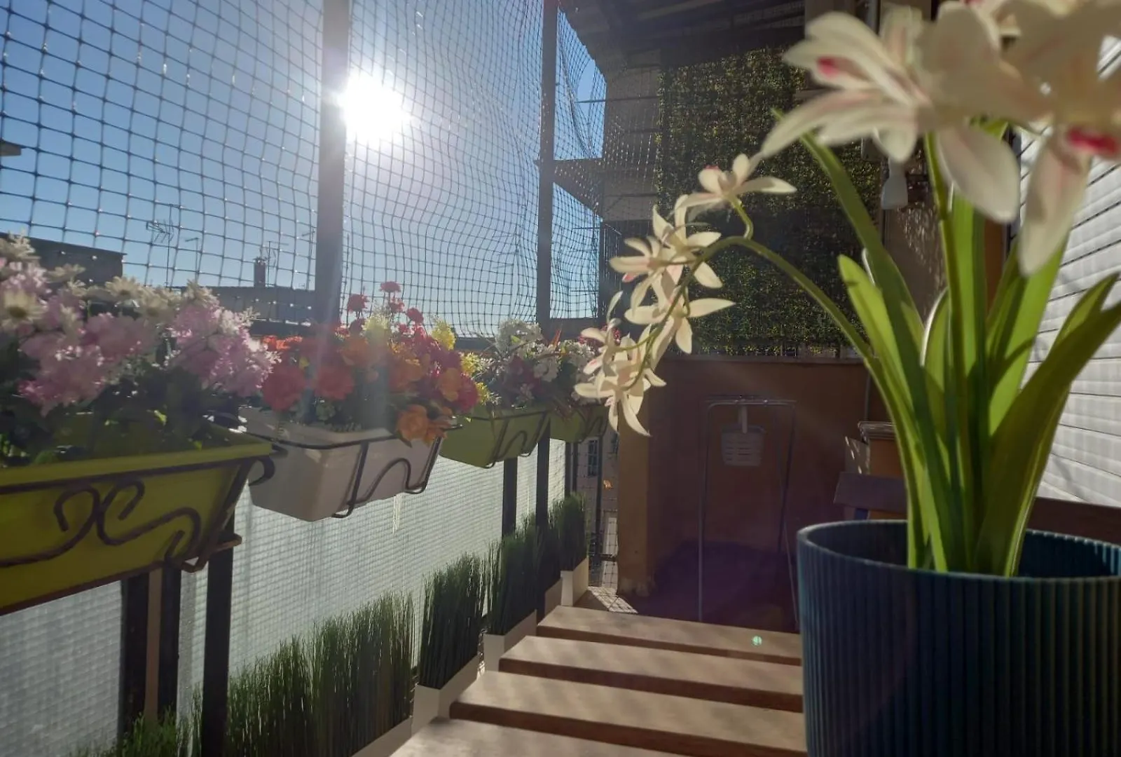 La Casa Libre Metro A Colli Albani 350 M Apartment Rome Italy